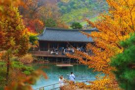 화담숲 온라인 예약&amp;#44; 운영시간&amp;#44; 산책코스