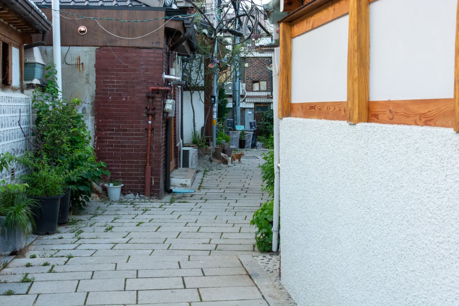 서촌 골목 맛집 여행
