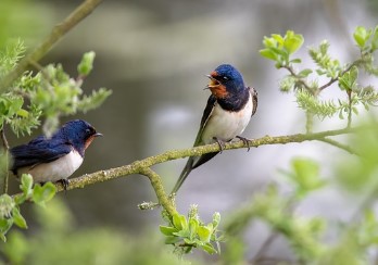 내 집 마련, 첫걸음은 '청약 1순위'부터 시작