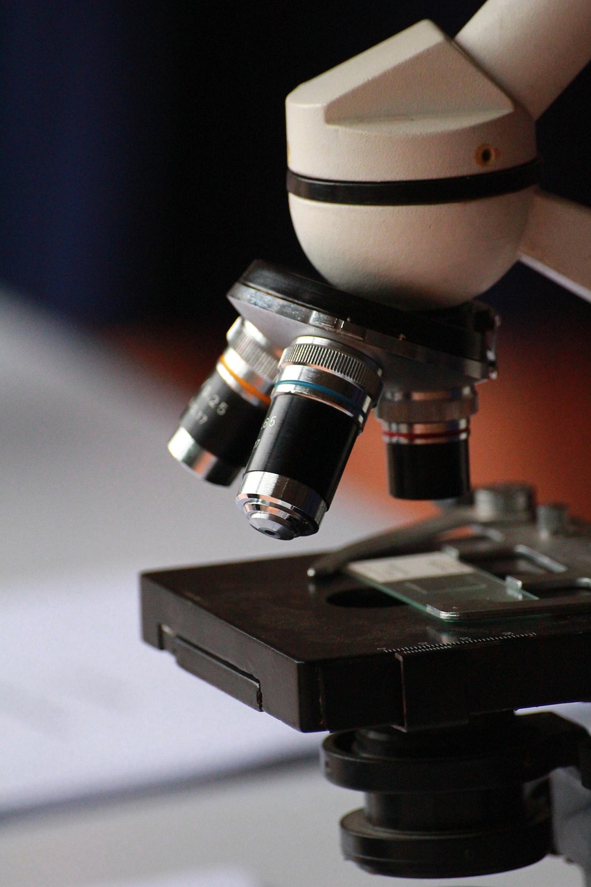 미국 명문 의약간호대 (캘리포니아, 텍사스, 뉴욕)