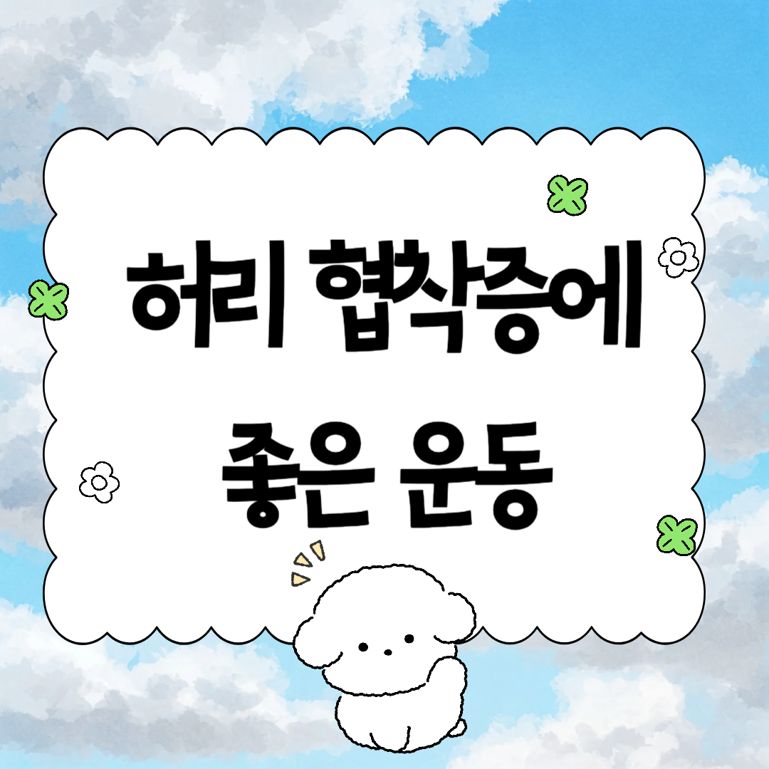 허리 협착증에 좋은 운동