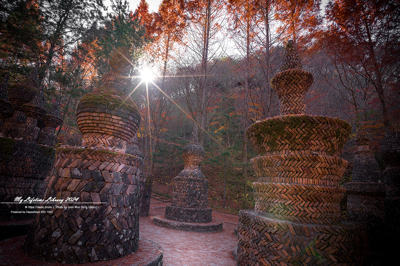 대전 상소동산림욕장 단풍 석탑