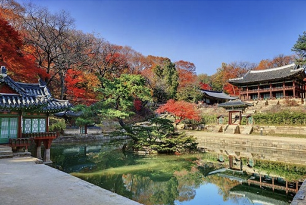 창덕궁 후원 예약 홈페이지 할인 혜택 총정리