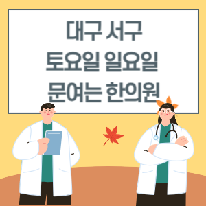 대구 서구 토요일 일요일 한의원 진료 문여는 병원 리스트