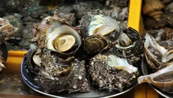 여름철 제철 해산물 추천 리스트 및 요리 활용법 안내_24