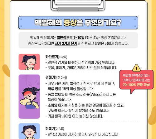 백일해 증상