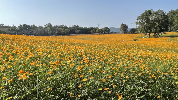 보리나라 학원농장