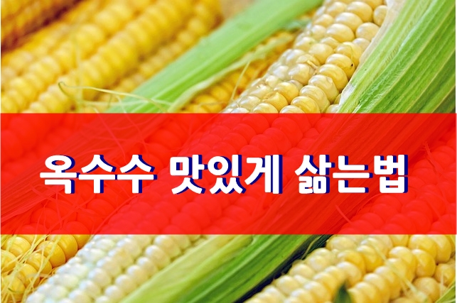 옥수수