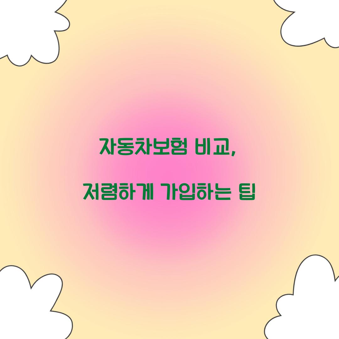 자동차보험 비교