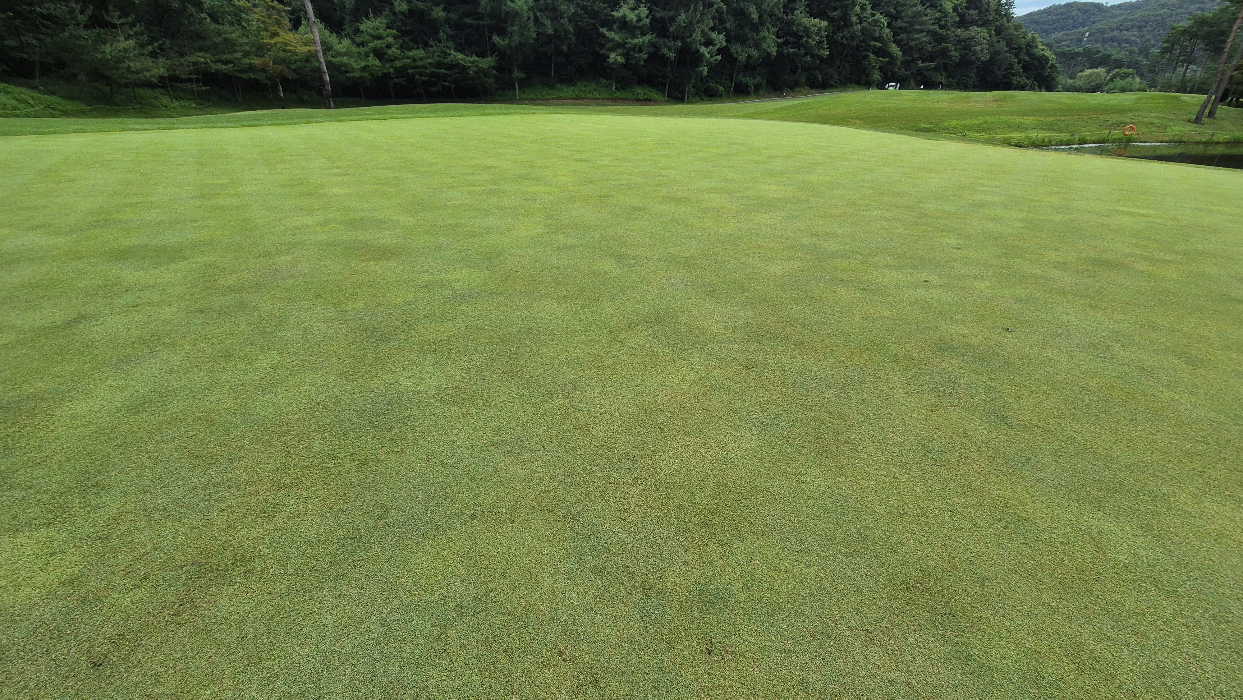 센테리움cc 스코틀랜드-웨일즈 코스 라운드 후기