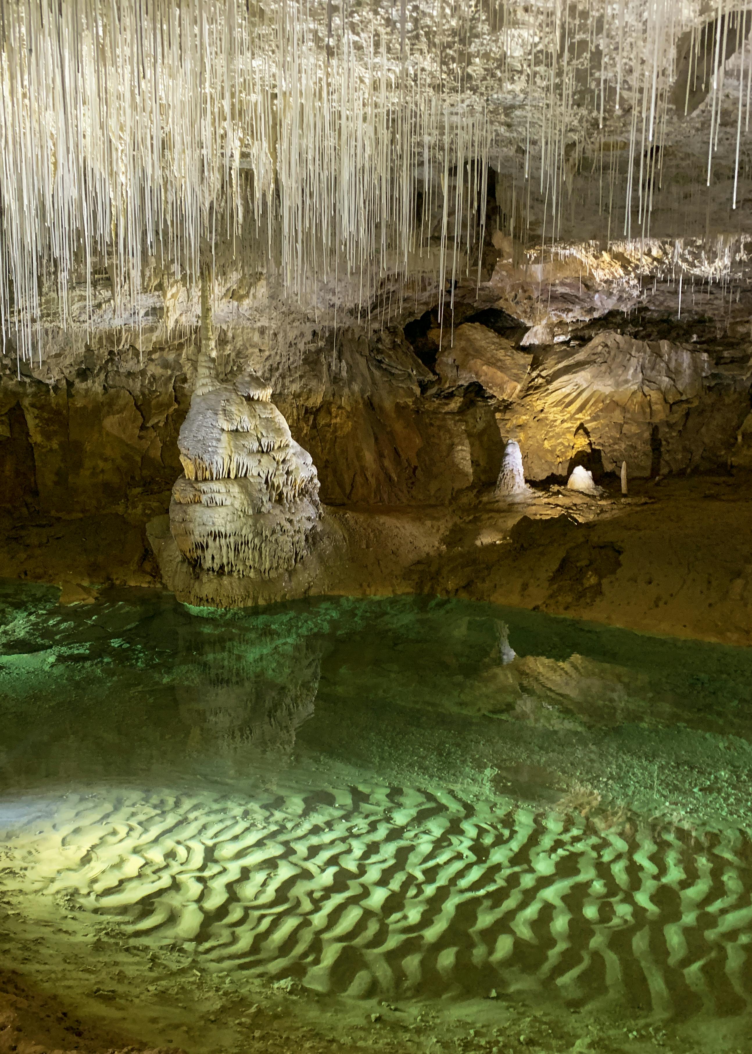어두운 동굴 내부 통로와 습한 벽면이 이어지는 장면으로, 먹이가 적고 저활동 생존이 유리한 동굴 환경을 보여준다
