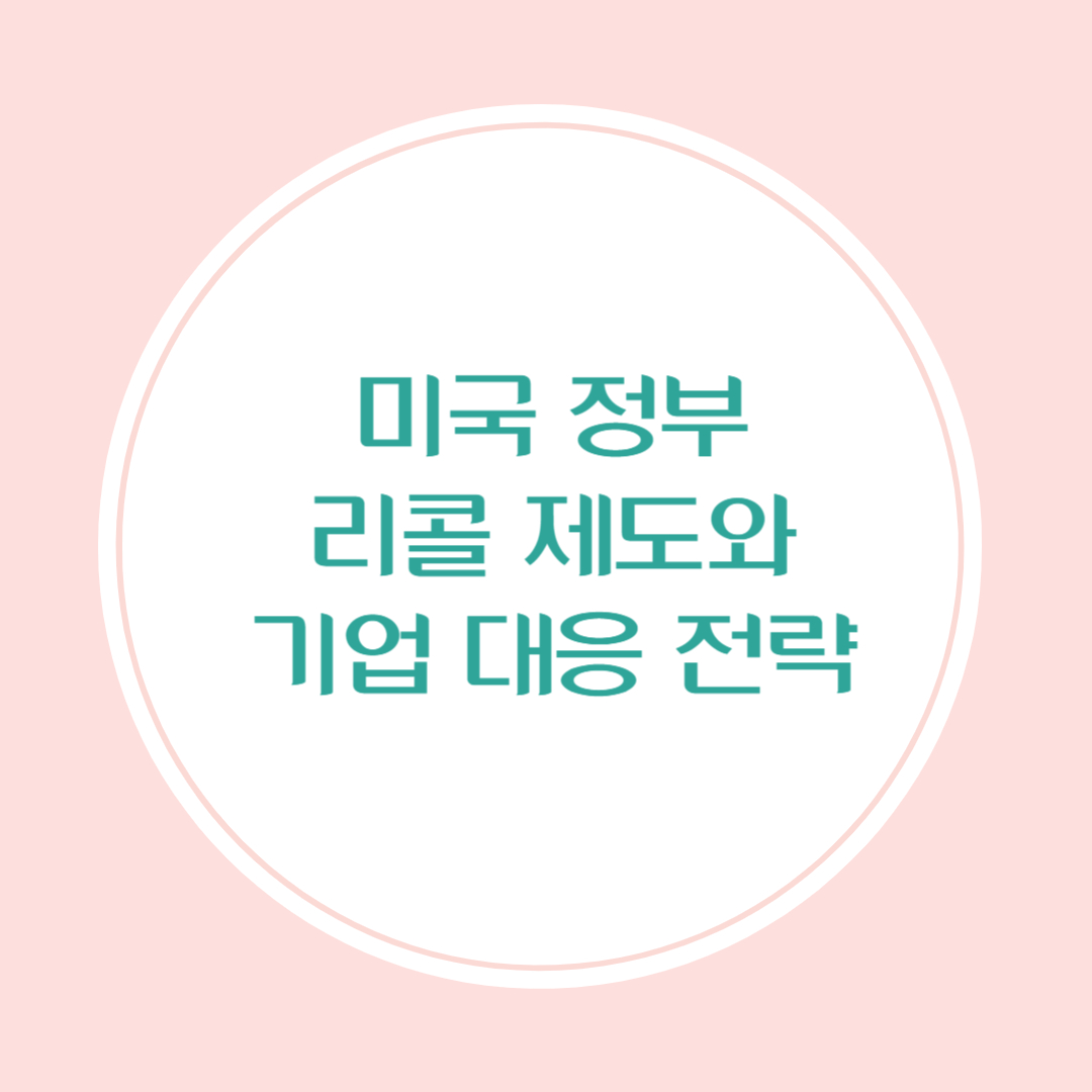 미국 정부의 리콜 제도와 기업 대응 전략