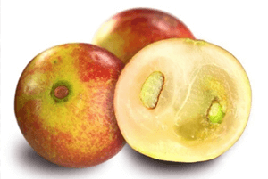 카무카무 효능05