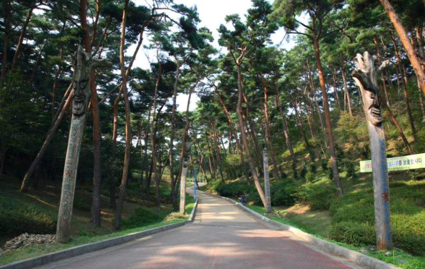 안면도자연휴양림