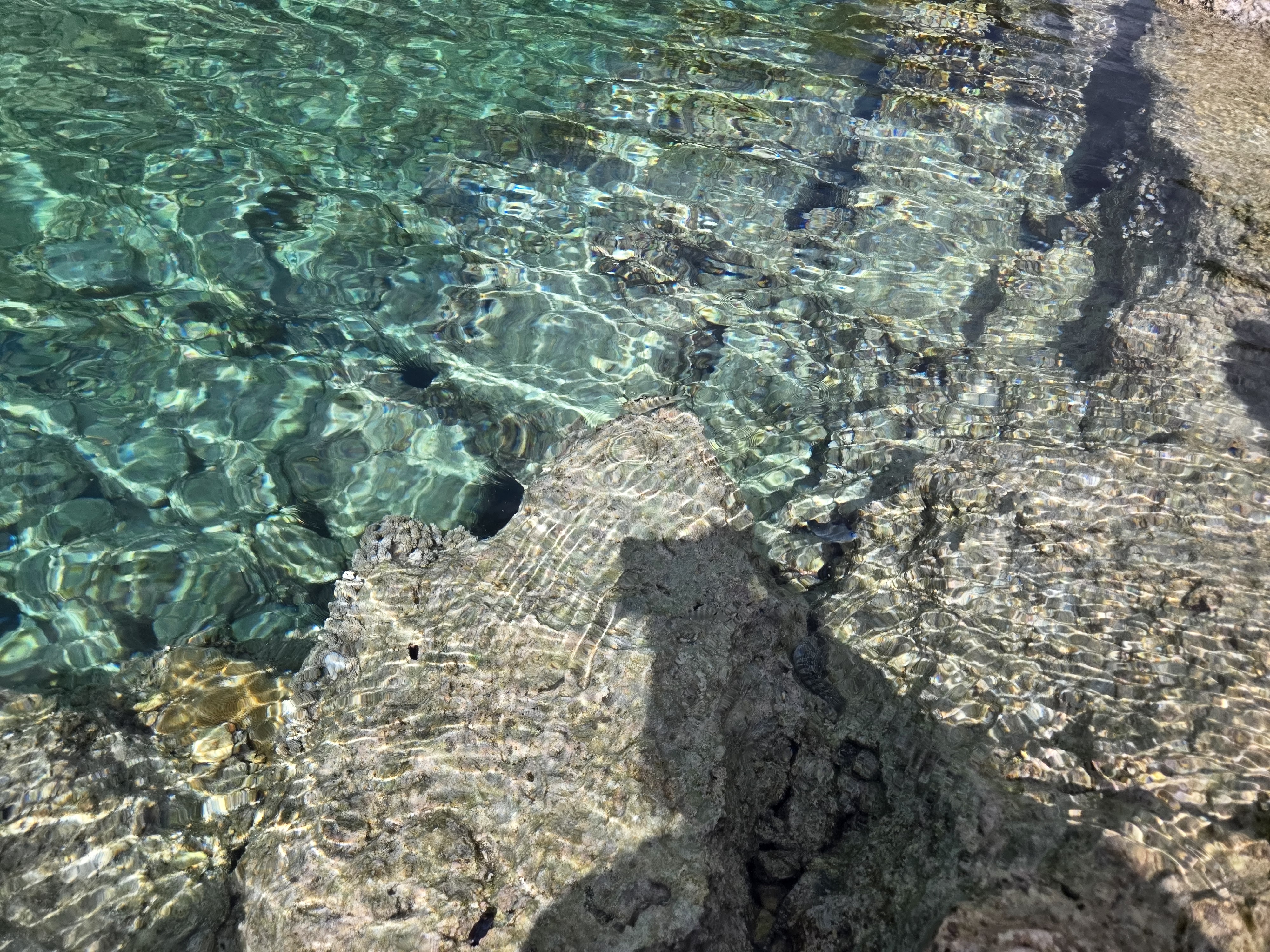 괌 에메랄드 밸리 에메랄드 빛 물 속