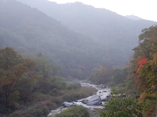 무주_깊은골_캠핑장