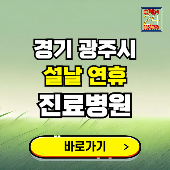 경기 광주시 설날 연휴 진료병원 찾기 ❘ 24시 응급 야간 심야 문여는 병원