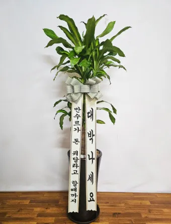 개업 축하 인사 화분 카드 문구 번창 기원 덕담 센스 있게_6