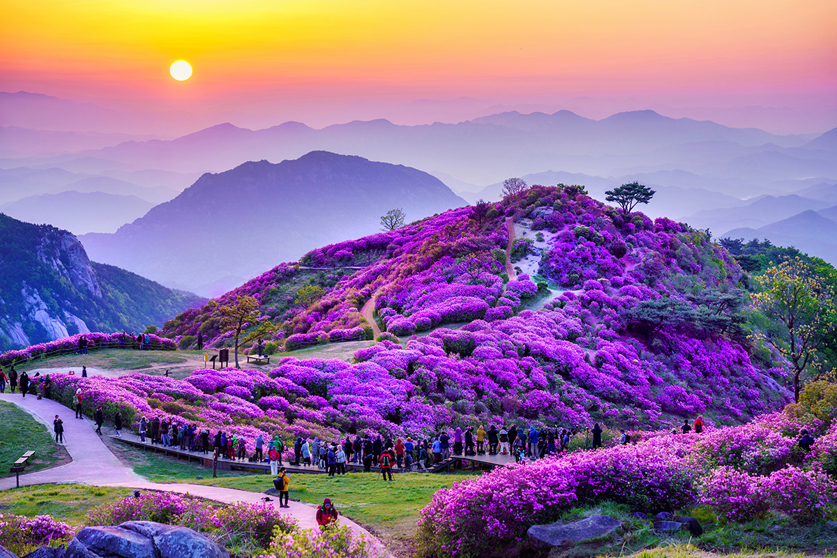 제28회 황매산 철쭉제 기본일정과 프로그램 소개