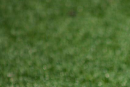 2024-2025 챔피언스 리그: 일정, 대진표, 주요 경기 및 관전 포인트