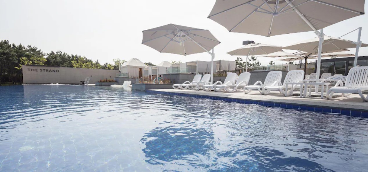 네스트-호텔-서울-실외-수영장