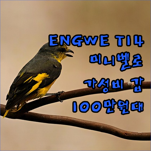 100만원대 ENGWE T14 전자 