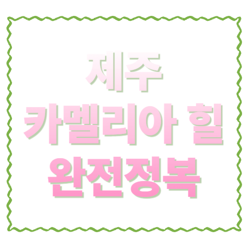 카멜리아 힐 완전정복: 운영시간&middot;입장료&middot;코스 추천까지 한 번에