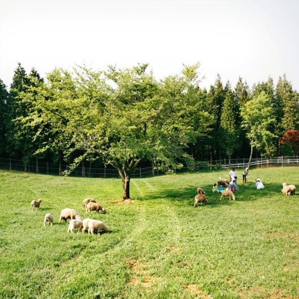 남해 고성 여행지