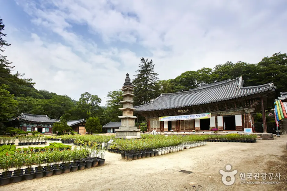 마곡사