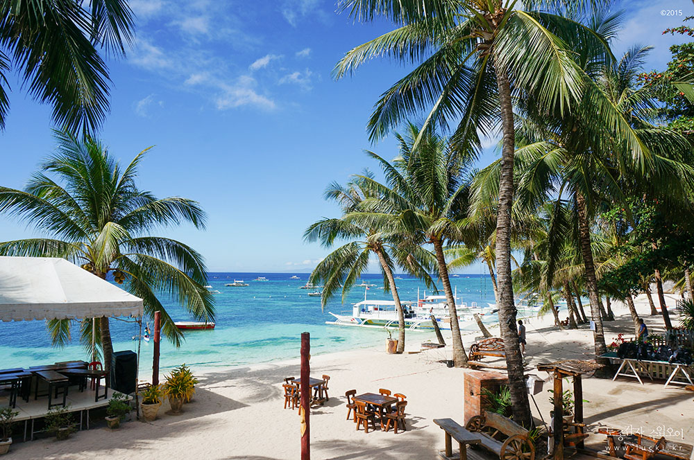 필리핀 보홀 자유여행 필수 투어 코스 액티비티 여행