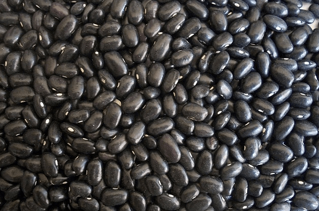 칼륨 많은 음식 사진 - 126