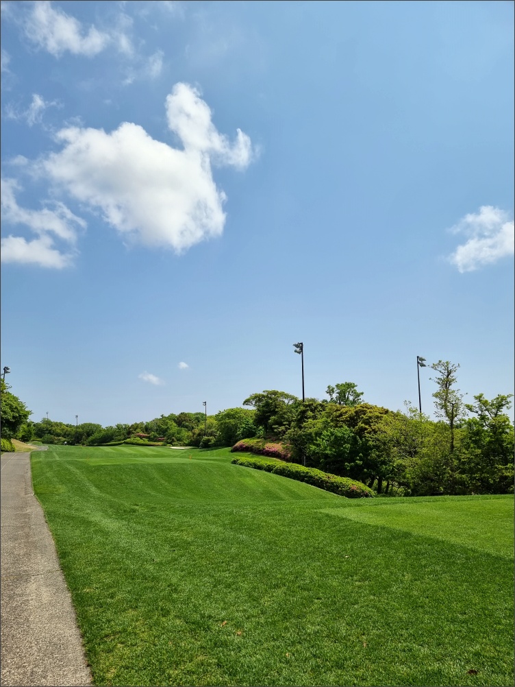 테디밸리-코스-라운딩