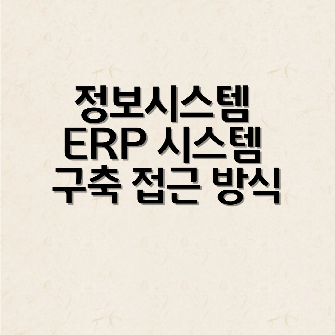 정보시스템 ERP 시스템 구축 접근 방식