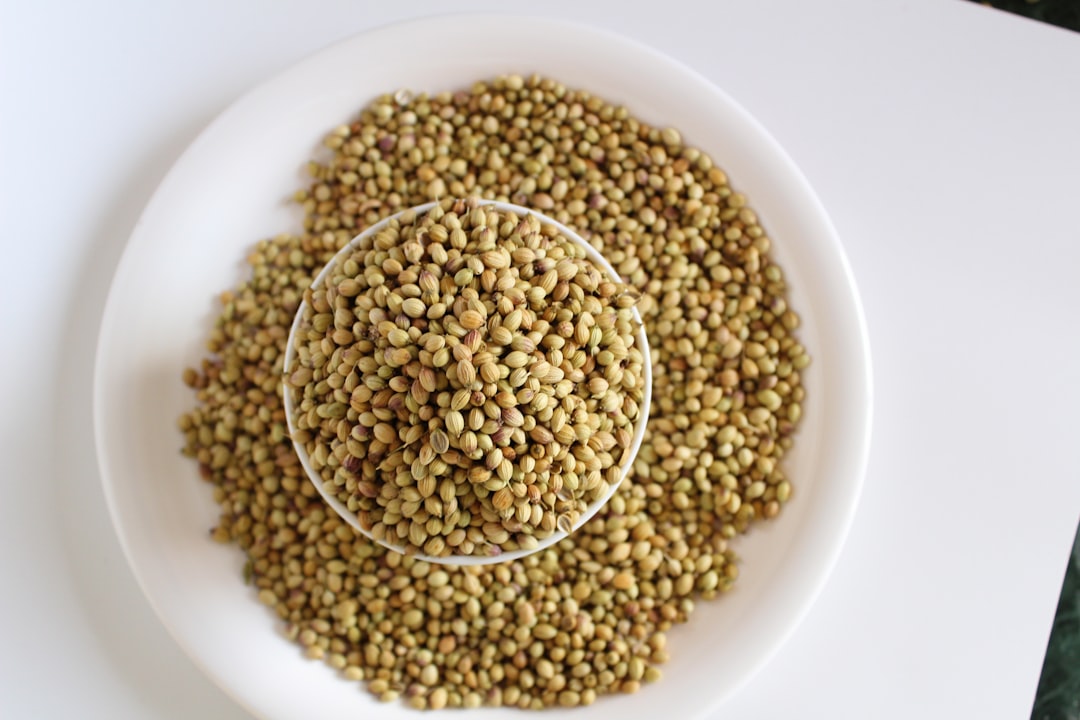 Lentil