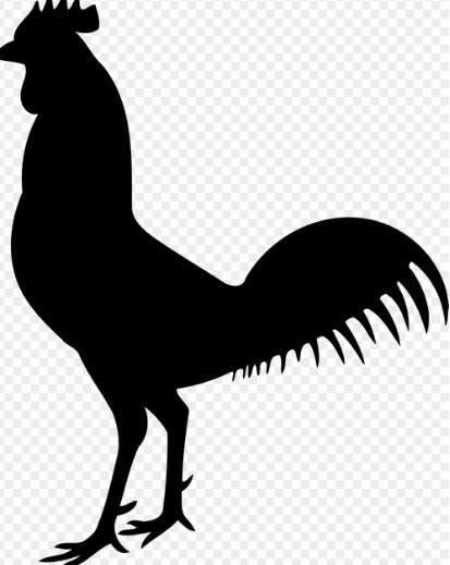 2026년 병오년 닭띠 신년운세 무료보기|무료사이트 추천 7