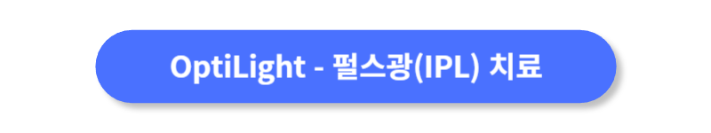 버튼