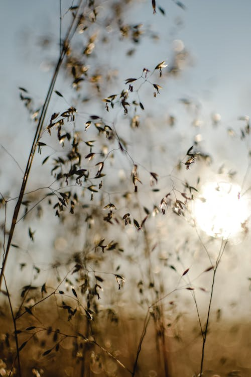 맥락막 흑색종 증상&middot;원인&middot;치료 - 눈 안에서 생기는 암&amp;#44; 조기 발견이 중요