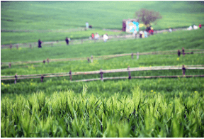 고창 학원 농장 입장료 총정리 관련사진