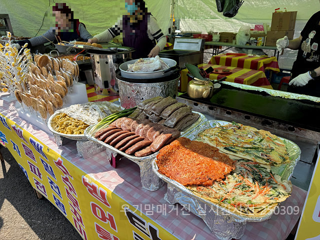 광양매화축제 실시간