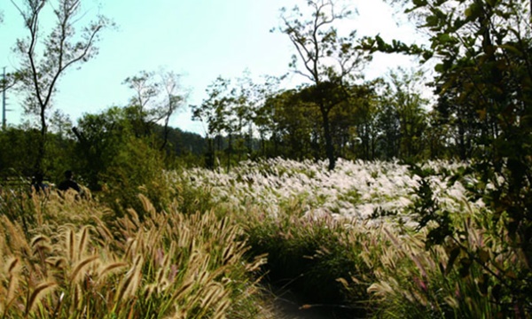 충남 가볼만한 곳 베스트10