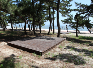 강원도 오토캠핑장