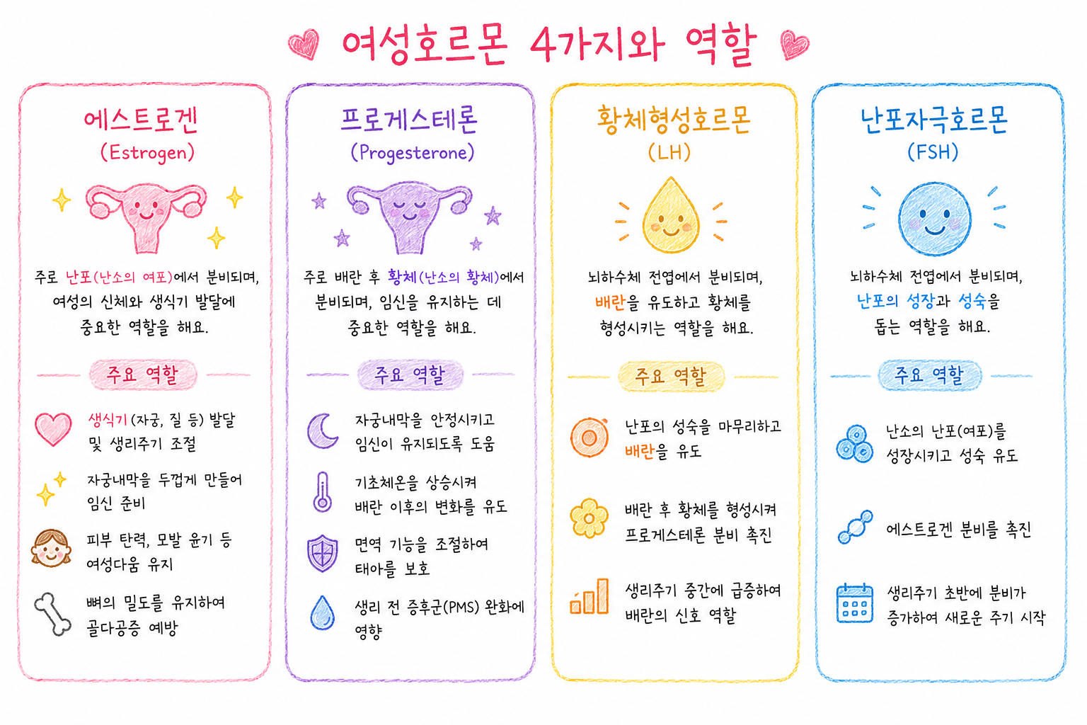 여성호르몬 종류와 역할