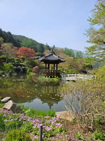 아침고요수목원 입장료 근처 맛집 펜션 추천_16