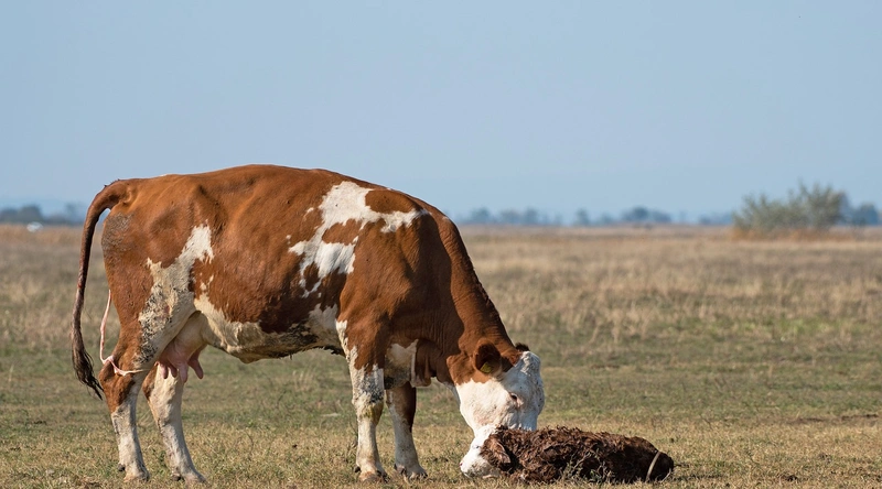 1. 안전관리의 중요성
