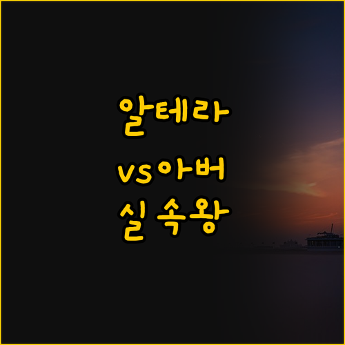 가성비 알테라 vs 럭셔리 아버, 파..