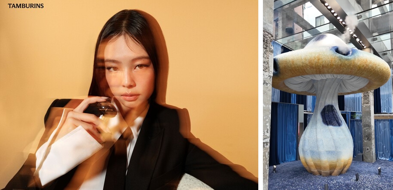 탬버린즈 모델 제니 화보와 내부의 버섯 조형물