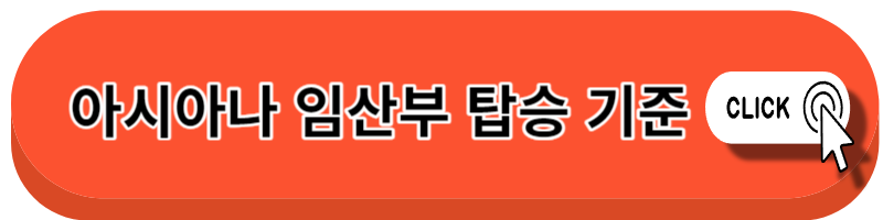 임산부 비행기