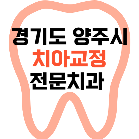 경기도 양주시 치아교정 치과 잘하는 곳 전문 치과 추천 가격 비용.png