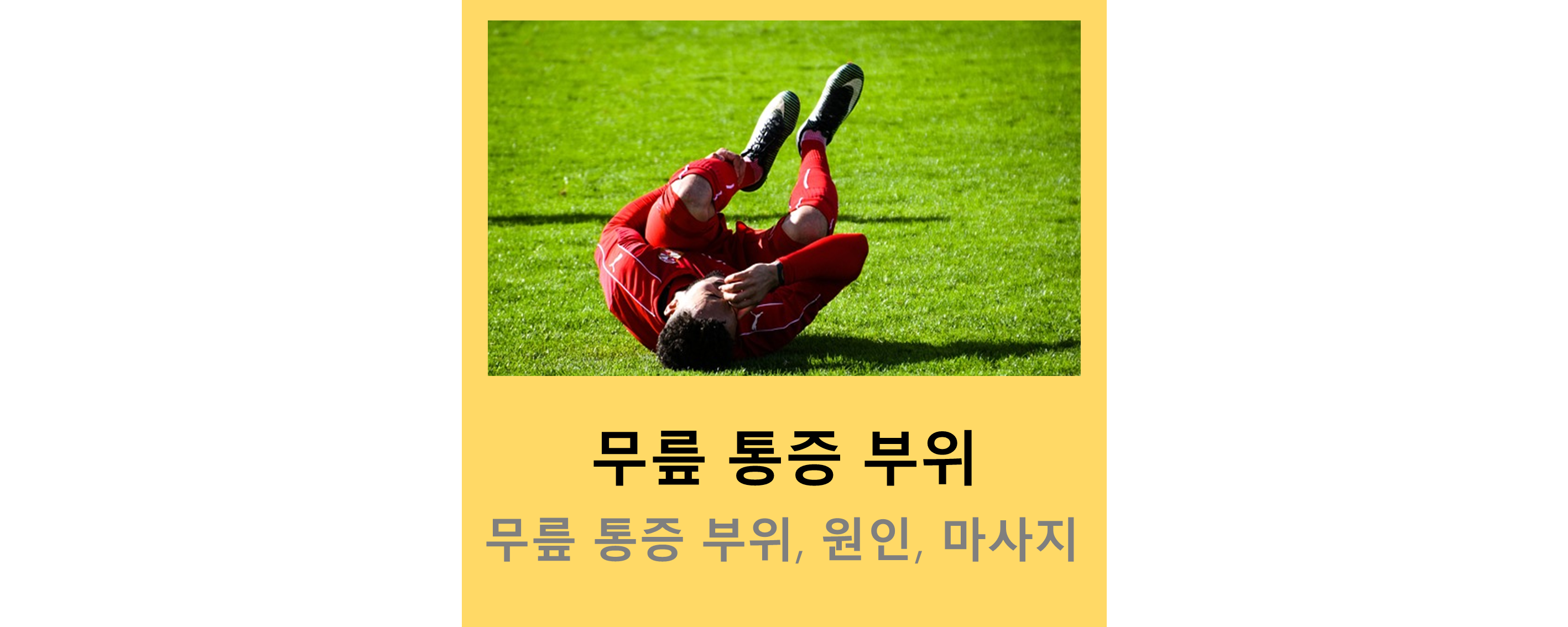 무릎