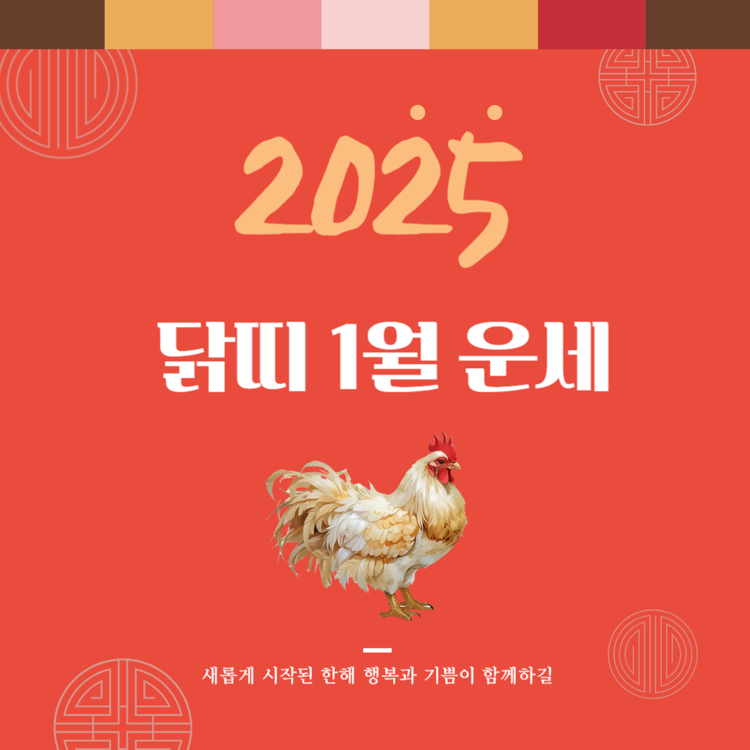 2025년 을사년 『닭띠』 1월 운세